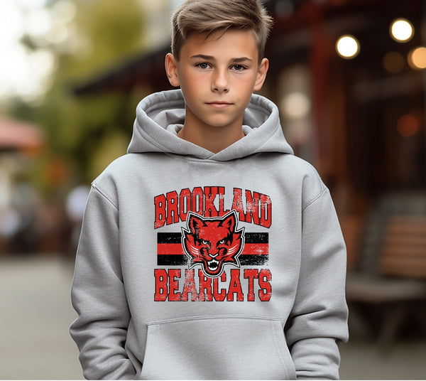 Brookland Bearcats Vintage School Design