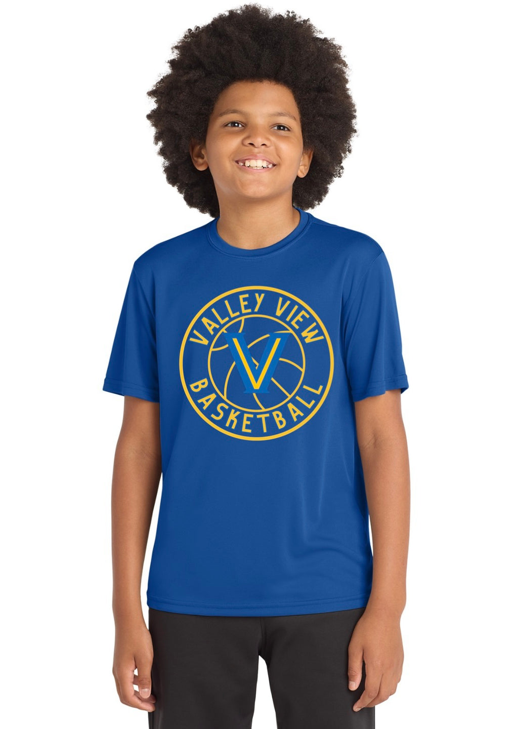 Valley View Blazers Basketball Design